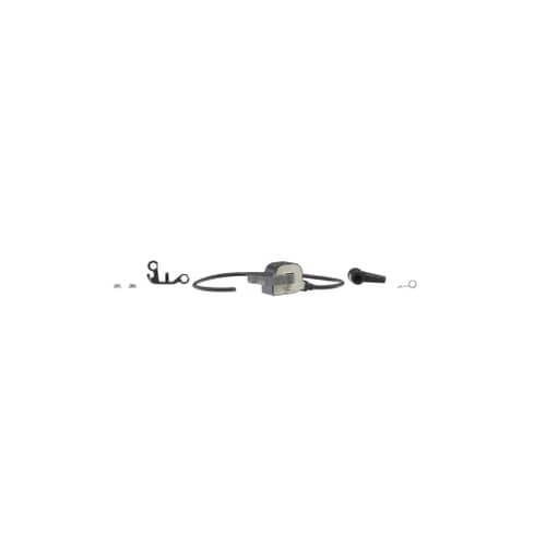 Husqvarna Leaf Blower Ignition Module - 544019803