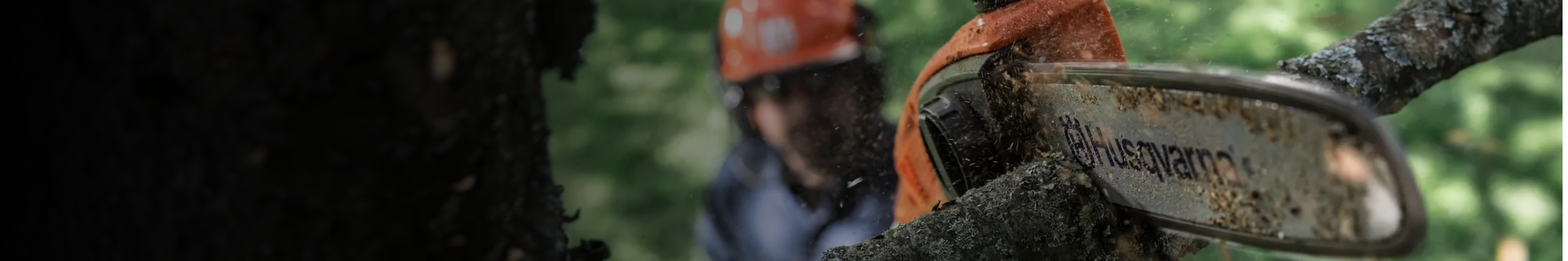 Pole Pruners & Saws Parts & Models