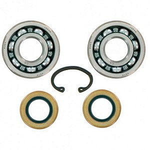 Husqvarna Hydrostatic Transmission Seal Kit - 501856201